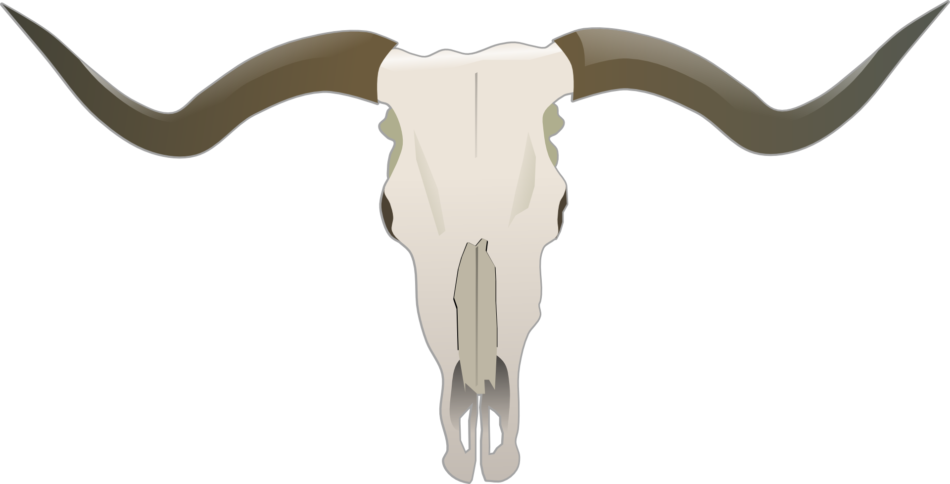 longhorn